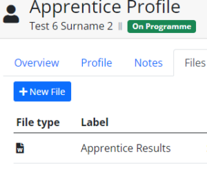 File section of Apprentice profile